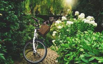 How My Student Took Her Photos to the Next Level