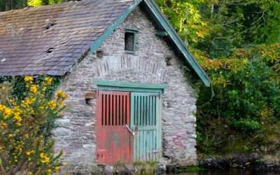 5 Mistakes That Kill Your Smartphone Photos