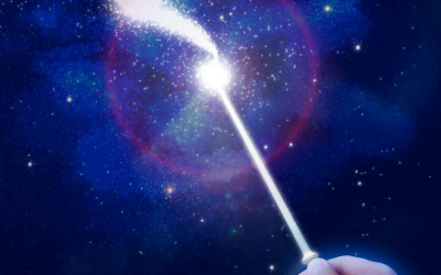 If you had one wish…