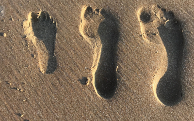 3 Photography Hacks That Will Help You Take Better Pictures