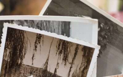 5 Easy Steps to Organize Your Photos