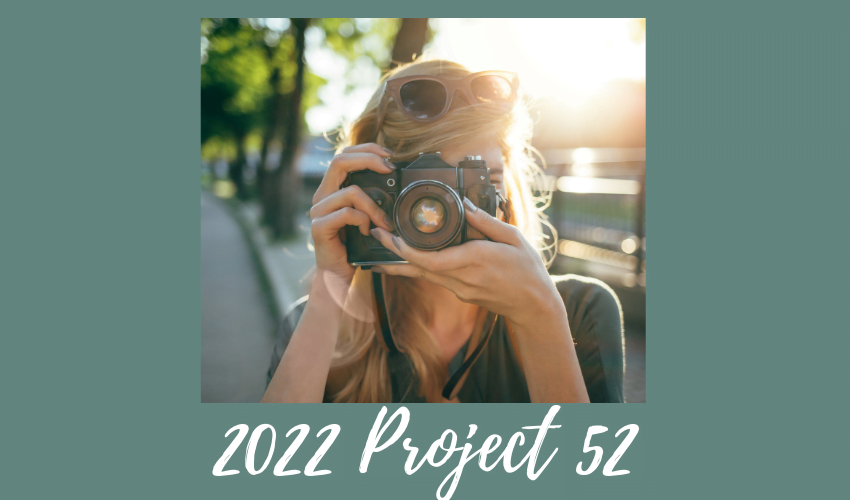2022 Project 52 Photography Challenge