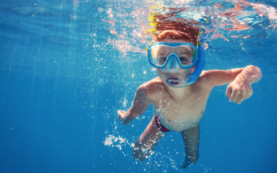 5 Easy Underwater Photography Tips